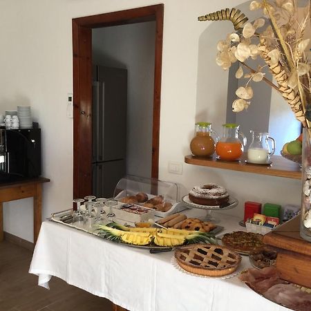 Il Giardino Di Daniela Bed & Breakfast ซาน เตโอโดโร ภายนอก รูปภาพ