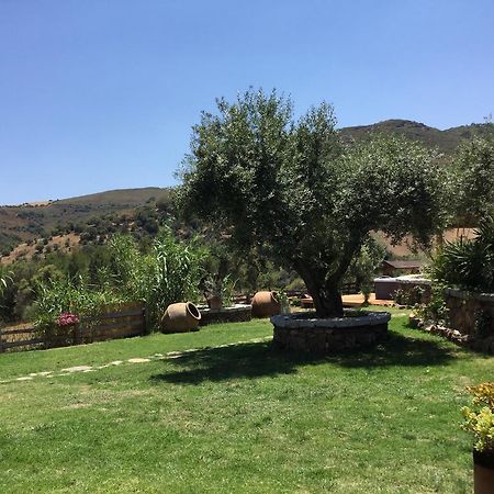 Il Giardino Di Daniela Bed & Breakfast ซาน เตโอโดโร ภายนอก รูปภาพ