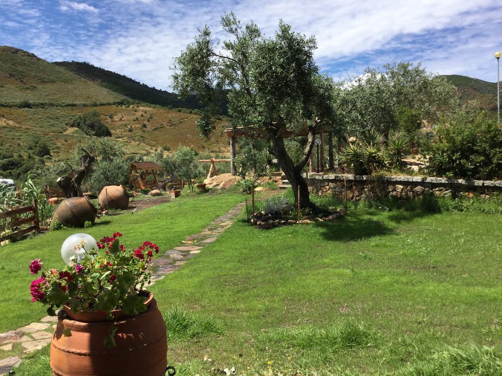 Il Giardino Di Daniela Bed & Breakfast ซาน เตโอโดโร ภายนอก รูปภาพ