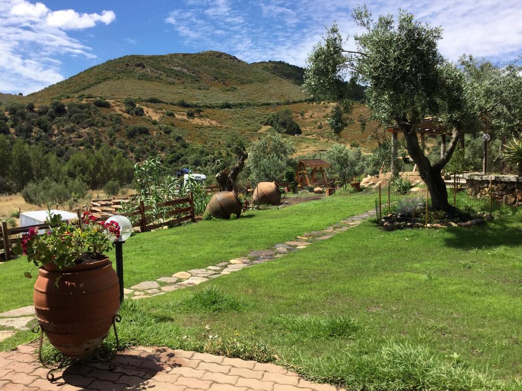 Il Giardino Di Daniela Bed & Breakfast ซาน เตโอโดโร ภายนอก รูปภาพ