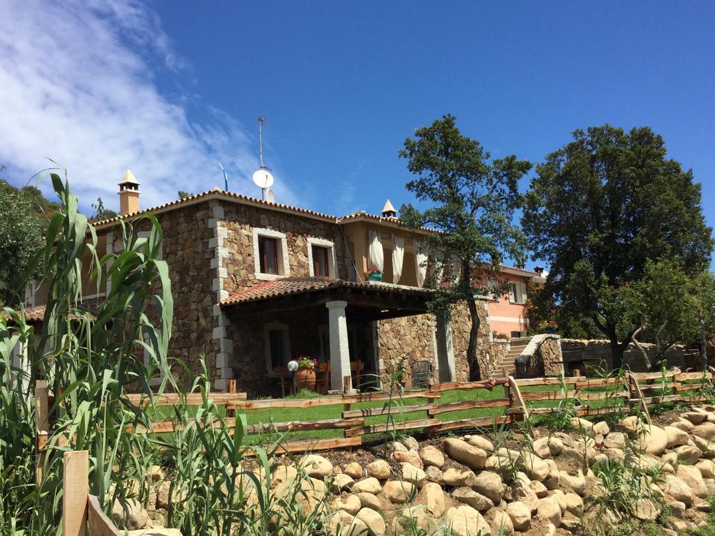 Il Giardino Di Daniela Bed & Breakfast ซาน เตโอโดโร ภายนอก รูปภาพ