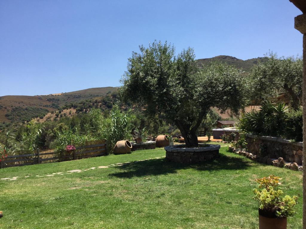 Il Giardino Di Daniela Bed & Breakfast ซาน เตโอโดโร ภายนอก รูปภาพ